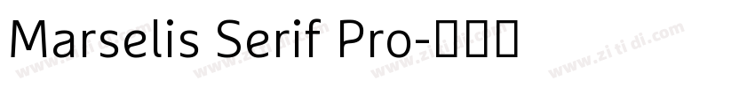 Marselis Serif Pro字体转换